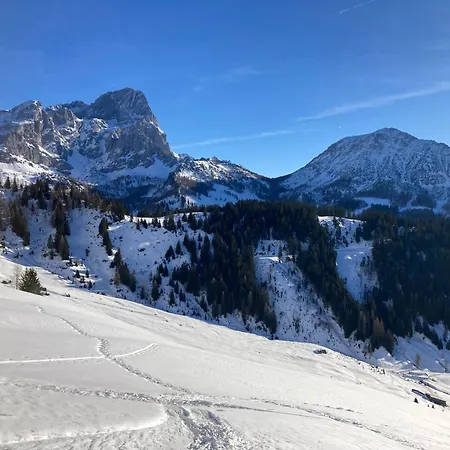 Appartement Haus Sonnwinkl Filzmoos