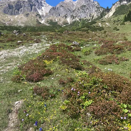 Haus Sonnwinkl アパート *