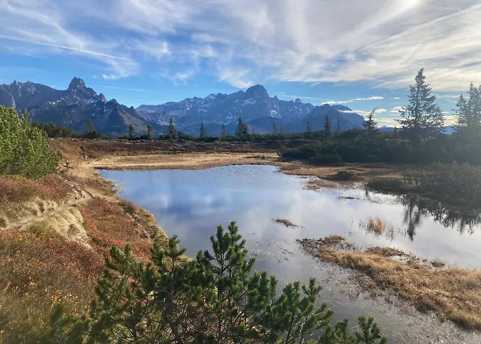 Haus Sonnwinkl 아파트 필즈모스