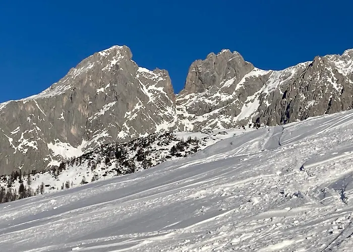 아파트 Haus Sonnwinkl 필즈모스