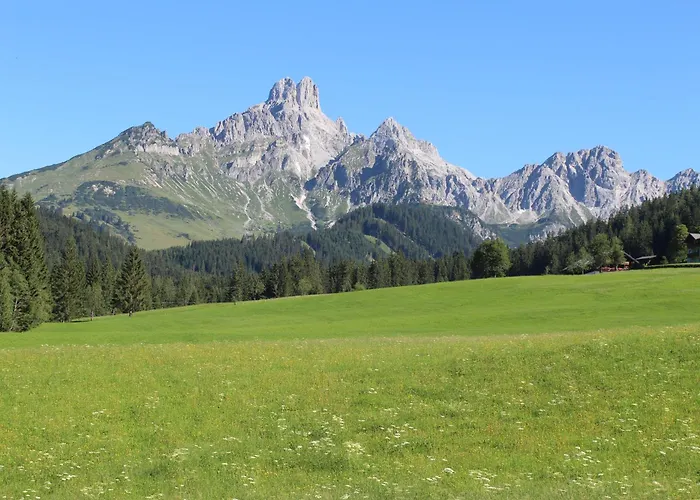 Haus Sonnwinkl 아파트 필즈모스