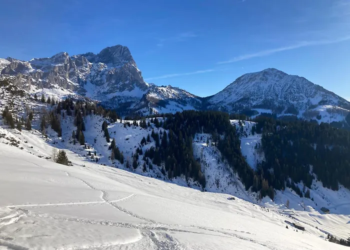 Appartement Haus Sonnwinkl Filzmoos